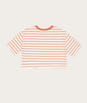 Ladies Cotton Cropped Box Tee - Copper Stripe