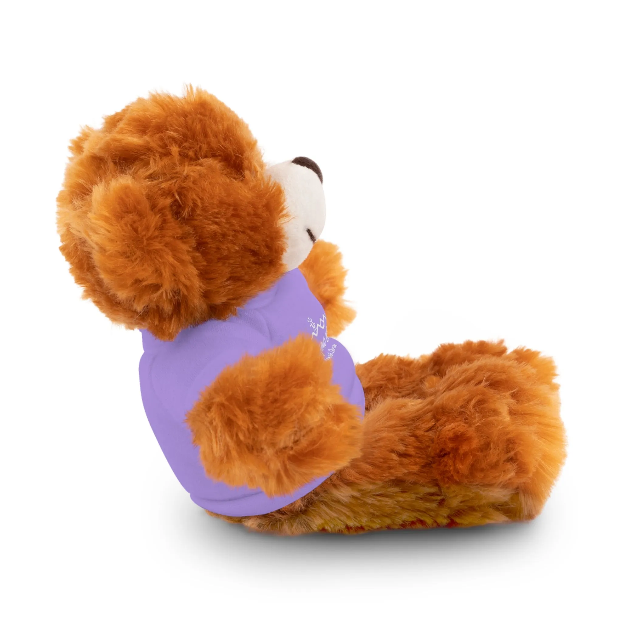 Ramah Darom Stuffed Bear - Tov